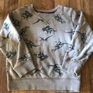 Carter’s Light Grey Dinosaur Sweatshirt Size 5